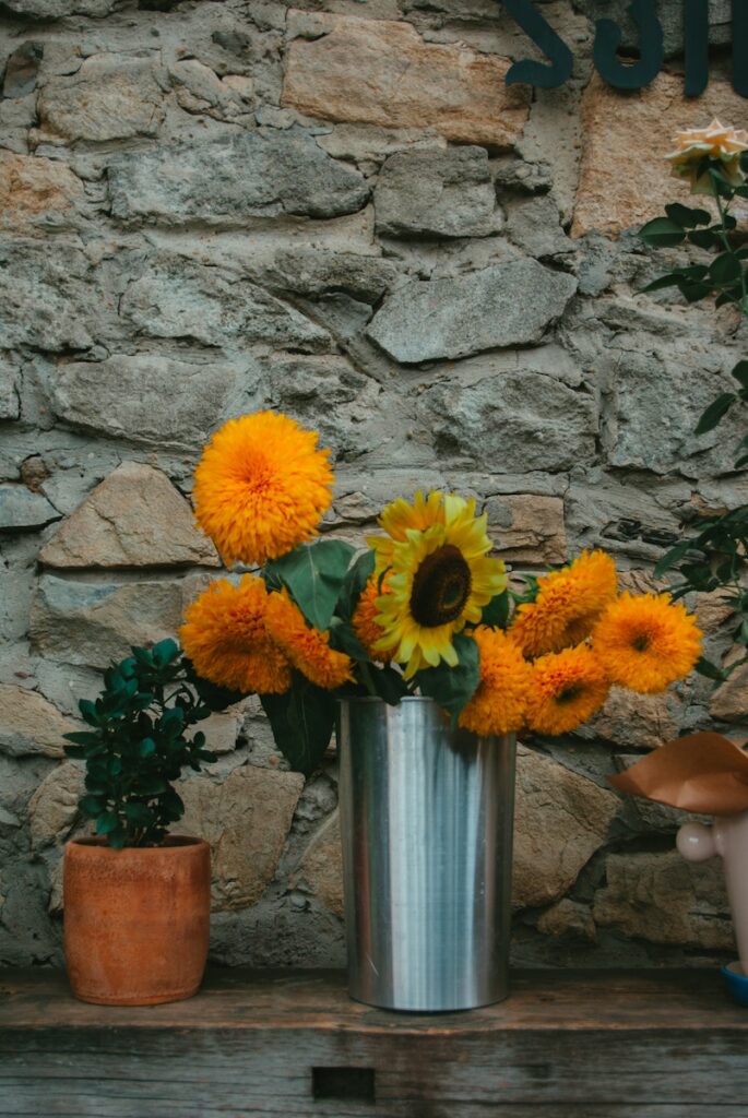 Free stock photo of architecture, bouquet, bright