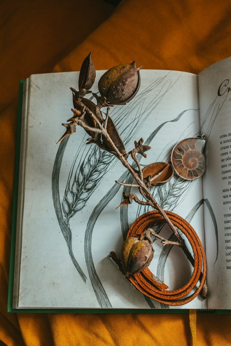 A Decoration from Dried Flowers Lying on a Book