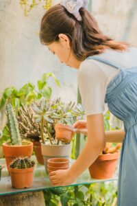 A woman in a blue dress is looking at cacti plants