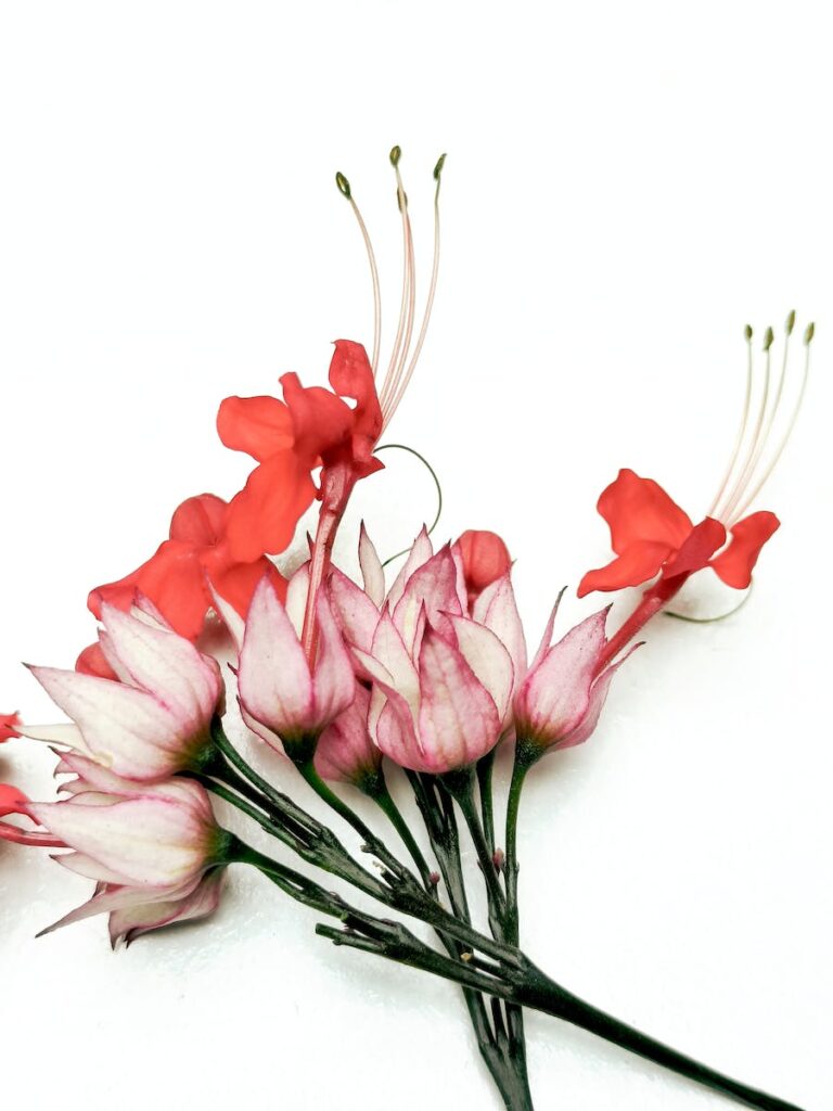 A bouquet of flowers with red and pink flowers