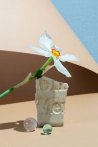 White Flower and a Piece of Glaze
