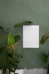 White mock up poster hanging on wall near tall lush plant with green leaved in light room in modern studio